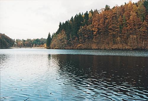 Křižanovická přehrada pod Hradištěm - pohled na hráz.
