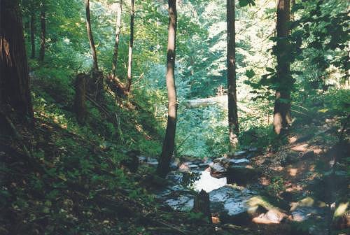 Studánka.
