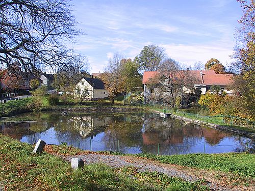 České Lhotice - náves s chovným rybníkem.

