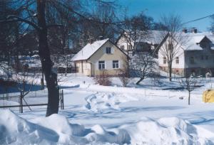 Snímek zimní krajiny v Českých Lhoticích