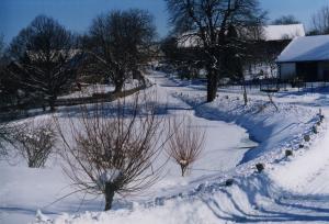 Snímek zimní krajiny v Českých Lhoticích