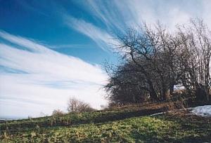 Snímek zimní krajiny v Českých Lhoticích